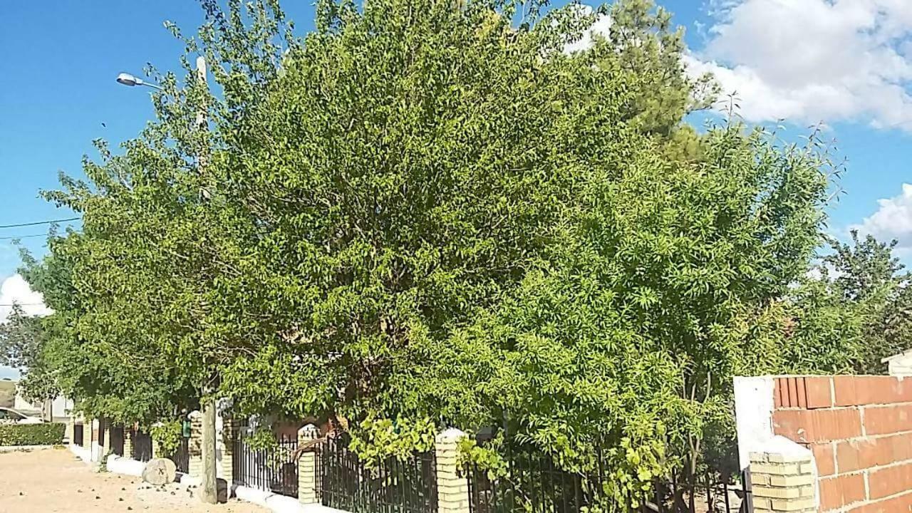 Casa Rural La Veguilla La Almarcha المظهر الخارجي الصورة