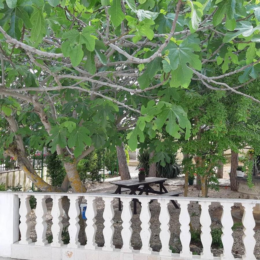 Casa Rural La Veguilla La Almarcha المظهر الخارجي الصورة
